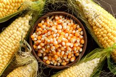 corn on the cob in a bowl with other kernels