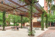 two people sitting on benches under a pergolated area with green plants and trees