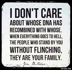 a quote that says i don't care about whose dna has recommended with those when everything goes to hell, the people who stand by you without