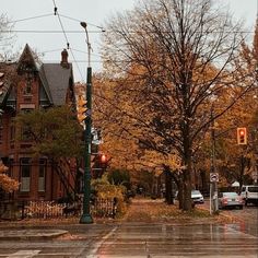 an empty street in the fall with leaves on the ground