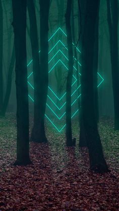 a green light in the middle of a forest with leaves on the ground and trees