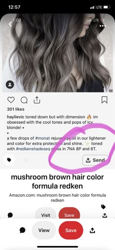 Ashy Shades Eq Toners, Ash Grey Toner Formula, Mushroom Ash Brown Hair Balayage Formula, Shades Eq Toner Formulas Ash Brown, Mushroom Formula Redken, Ash Formula Redken, Redken Shades Eq Mushroom Brown, Shades Eq Toner Formulas For Brassy, Mushroom Brunette Hair Formula