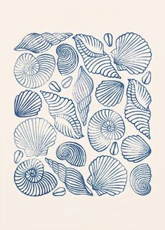 an image of seashells in blue ink on white paper