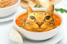 a cat's face is in a bowl of soup with tortilla chips on the side