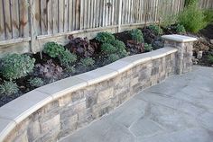 a stone wall with plants growing in it