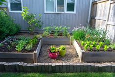 an outdoor garden with various plants and flowers