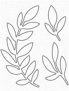 the silhouettes of two leaves are shown in black and white, one is drawn on paper