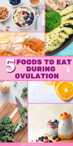 For women trying to get pregnant, it is important to know about the foods that can help increase their chances of conception. During ovulation week, it is especially important to eat foods that are rich in vitamins and minerals. In this blog post, we will discuss the best foods to eat during ovulation week. We will also provide a list of recipes for you to try! Foods To Eat During Ovulation, Ovulation Week, Uterus Health, Ovulation Phase, Balancing Hormones Naturally, Health Cooking, What Can I Eat