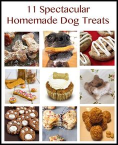 a collage of dog treats with the title 11 spectacular homemade dog treats