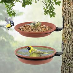 three bird feeders hanging from trees with birds in the water and on top of them