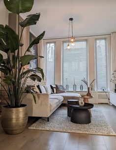 a living room filled with furniture and large plants