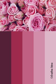 a bunch of pink roses are arranged in a color palette with the words,'love is