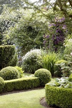 a lush green garden filled with lots of trees and bushes next to a park bench