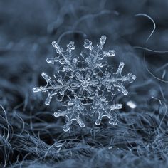 a snowflake that is sitting in the grass