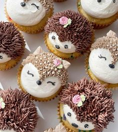 cupcakes with frosting and hedgehog faces on them