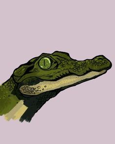 an alligator's head with green eyes is shown in this digital painting style illustration