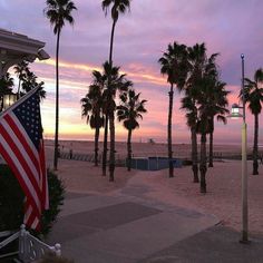 palm trees line the beach at sunset with an american flag flying in the foreground