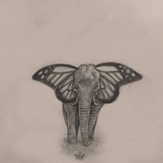 a drawing of an elephant with a butterfly on it's back and its wings spread out