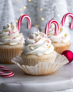 three cupcakes with white frosting and candy canes