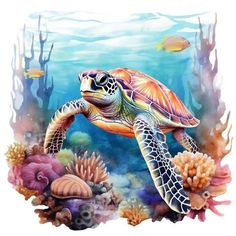 a painting of a sea turtle swimming in the ocean with corals and other marine life