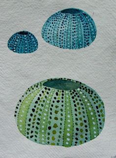 three seashells painted on white paper with green and blue dots in the middle