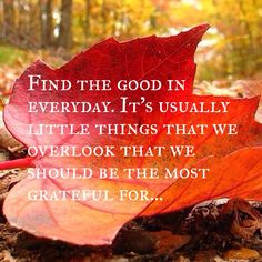 a red leaf laying on the ground with an inspirational quote below it that reads, find the good in everyday it's usually little things that we overlook