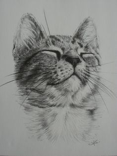 a drawing of a cat with its eyes closed