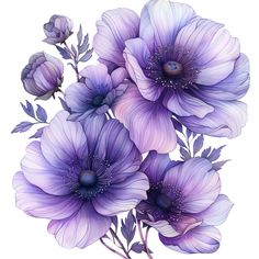 some purple flowers are on a white background