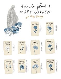 how to plant a mary garden for spring