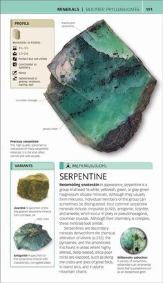 a brochure with some green rocks and other things on it's side