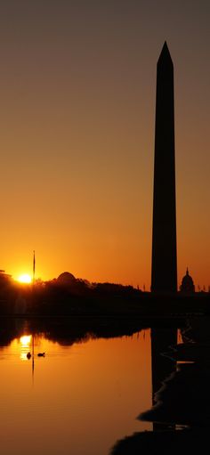 the washington monument is silhouetted against an orange sunset