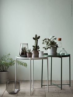 two tables with plants on them sitting next to each other