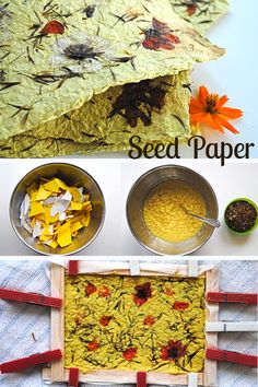 the process for making flower seed paper is shown in three different pictures, including flowers and spoons