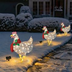 three chickens are walking in the snow with christmas lights on their heads and legs,