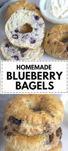 All Purpose Flour Bagels
Easy Blueberry Bagel Recipe
Whole Wheat Blueberry Bagels
Easy Blueberry Bagels
Homemade Bagels All Purpose Flour
Bagel Smear Recipes
Greek Yogurt Blueberry Bagels
Fruit Bagel Recipe
Bagels Recipe Homemade All Purpose Flour 
This blueberry bagel recipe creates delicious homemade bagels that are perfectly chewy, subtly sweet, and beautifully tinted with a vibrant purple hue. Made with fresh or frozen blueberries, they're as tasty as they are visually stunning!