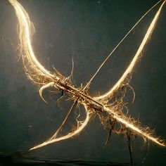 the underside of a plant with long, thin hair