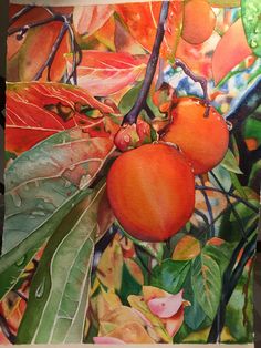 a painting of oranges hanging from a tree