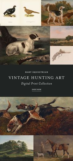 Vintage Hunting Art Print Set | Masculine Office Decor Rustic Hunting Cabin, Masculine Office Decor, Masculine Aesthetic, Masculine Office, Vintage Hunting, Hunting Art, Hunting Decor, Hunting Cabin, Equestrian Decor