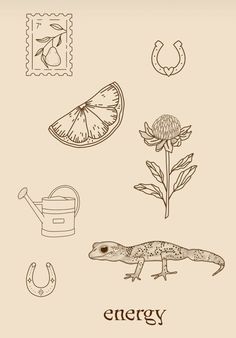 an image of a lizard and other items on a sheet of paper with the word energy written