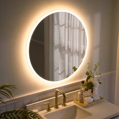 a bathroom sink with a mirror above it and a plant in front of the sink