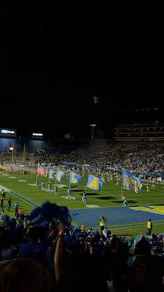 a group of people standing on top of a football field at night with flags in the air