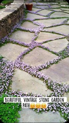 a stone path with purple flowers growing on it and a sign that says beautiful vintage stone garden path