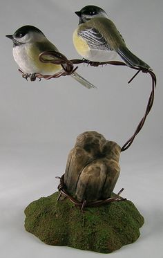 two birds sitting on top of a moss covered rock