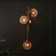 two lights are hanging on the wall next to a potted plant