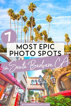 palm trees and buildings with the words most epic photos in santa barbara ca on top