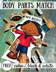 the body parts match game for kids