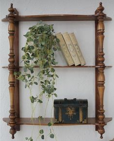 a wooden shelf with books and plants on it