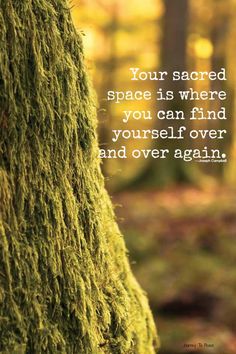 moss growing on the side of a tree with a quote about your sacred space is where you can find yourself over and over again