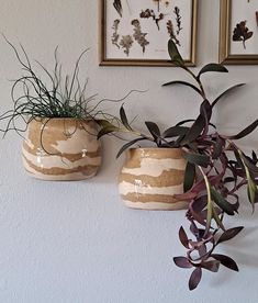 two vases with plants in them are hanging on the wall next to each other