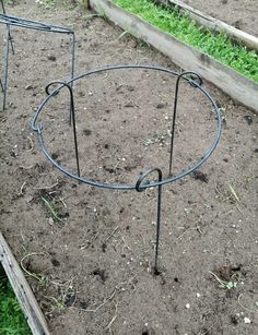 an empty circular metal object in the dirt